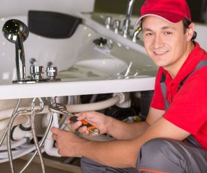 About Plumbers Pros Squires, MO